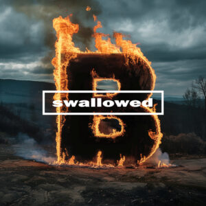 BUSH 'Swallowed (30th Anniversary Tour Version)' single cover